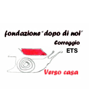 logo FONDAZIONE DOPO DI NOI - ETS<br />(Correggio)